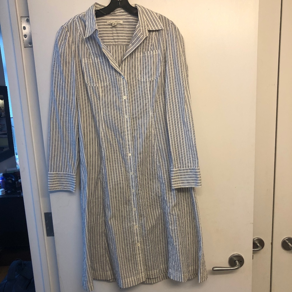 The Banana Republic Blue and White Dress